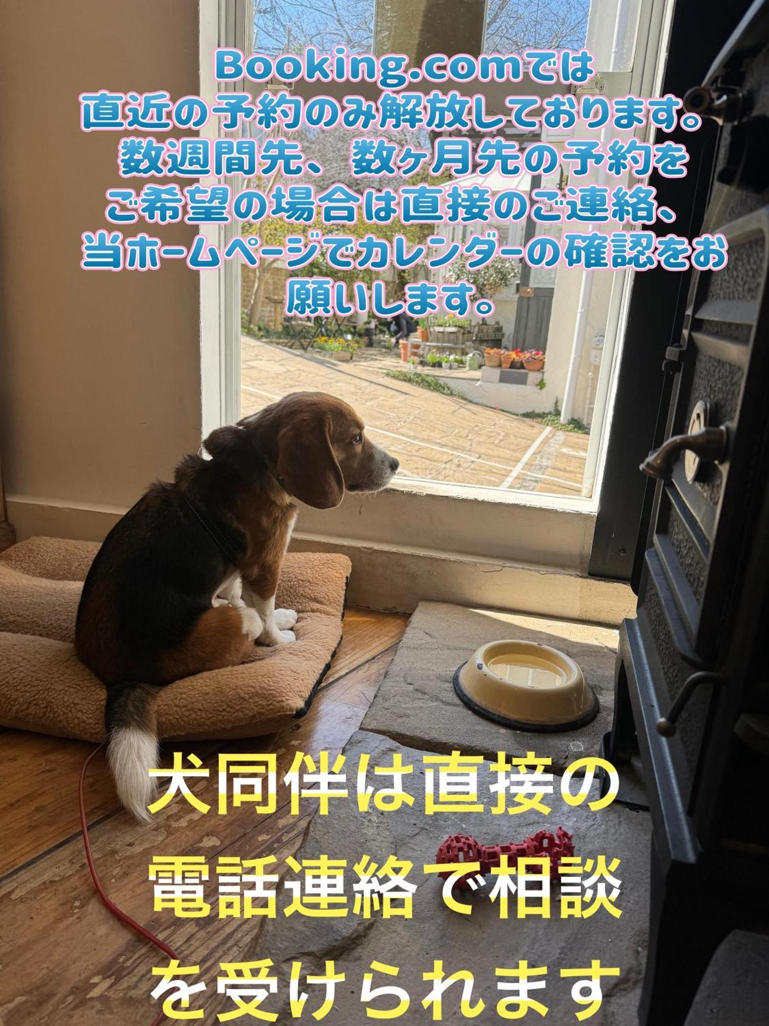Kamakurayama Holiday Flat Extérieur photo